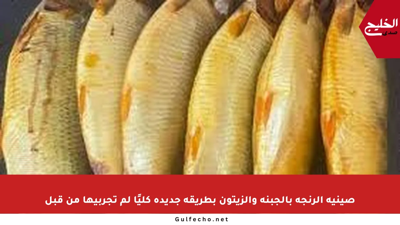 صينية الرنجة بالجبنة والزيتون بطريقة جديدة كليًا لم تجربيها من قبل